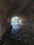 IMG_20260406_151052