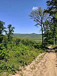 IMG_20260429_131019