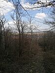 GCAg_20260312_113204