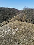 IMG_20260314_110837
