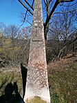 IMG_20260314_110921