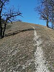 IMG_20260314_105334