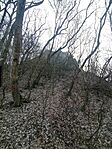 IMG_20260314_073005