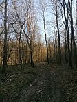 IMG_20260314_082537