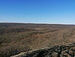 IMG_20260314_084728