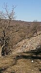 IMG_20260314_085640