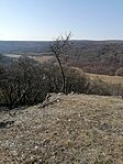 IMG_20260314_094333