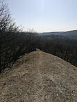 IMG_20260314_101906