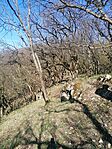 IMG_20260407_093604