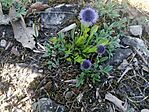 IMG_20260407_093728