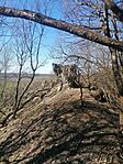 IMG_20260407_094419