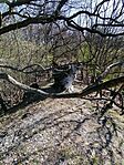 IMG_20260407_094524