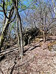 IMG_20260407_100028