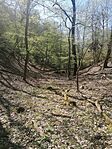 IMG_20260407_100616