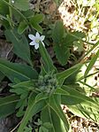 IMG_20260407_112842