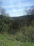 IMG_20260407_123837