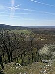IMG_20260407_132941