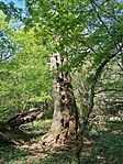 IMG_20260418_095317