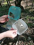 IMG_20260418_103314