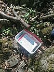 IMG_20260418_104042