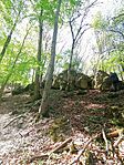 IMG_20260418_105538