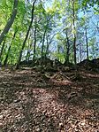 IMG_20260418_105823