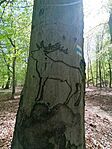 IMG_20260418_113102