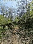 IMG_20260418_115052