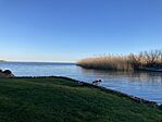 IMG_9228