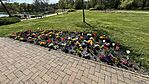 IMG_2477