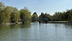 IMG_2479