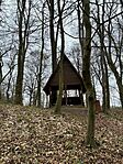 IMG_7306