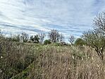 IMG_7337