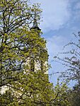 PXL_20260403_091657239