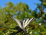 PXL_20260418_112621492