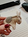 IMG_20260408_120646_1