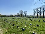 29007407-61FC-48D3-A095-FF41256CEDAB