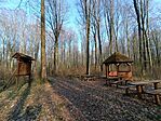 IMG_20260401_171308.jpg