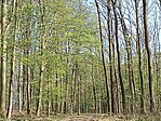 IMG_20260401_163532.jpg