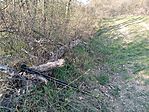 IMG_20260403_173416.jpg