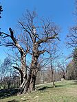 IMG_20260403_143039.jpg