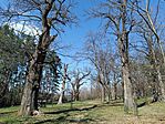 IMG_20260403_143437.jpg