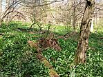 IMG_20260406_141247.jpg