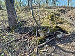 IMG_20260407_121312.jpg