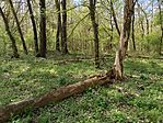 IMG_20260411_122743.jpg