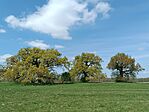 IMG_20260411_133430.jpg