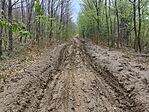 IMG_20260414_135546.jpg