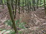 IMG_20260420_150059.jpg