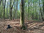 IMG_20260420_151152.jpg