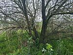 IMG_20260428_114912.jpg